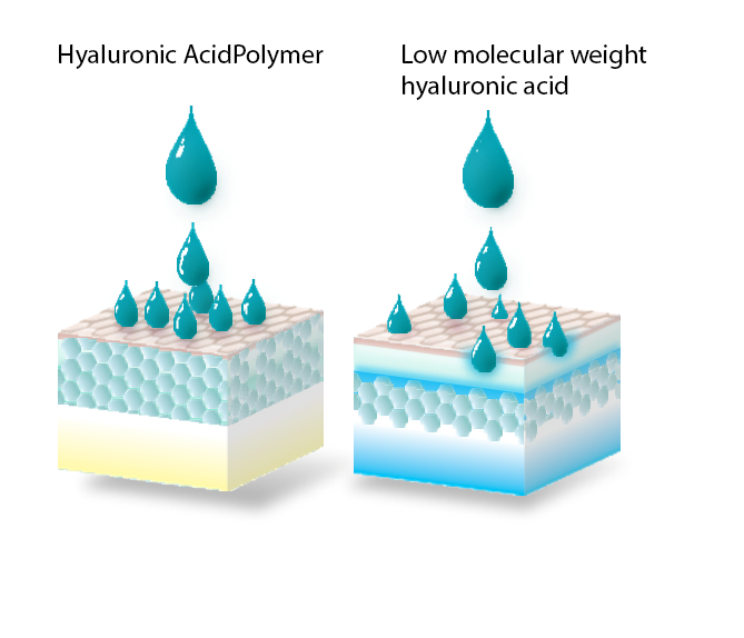 The Ronettes With low molecular weight hyaluronic acid